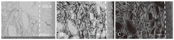Figure 4 Decomposition morphology and elemental surface distribution of MgO-C reaction
