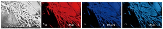 Figure 5 Morphology and elemental surface distribution of dendritic crystals precipitated